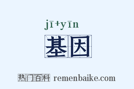 基因是什么意思的图片
